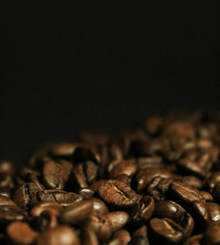 Grains de café torréfaction brune pour les professionnels du secteur CHR